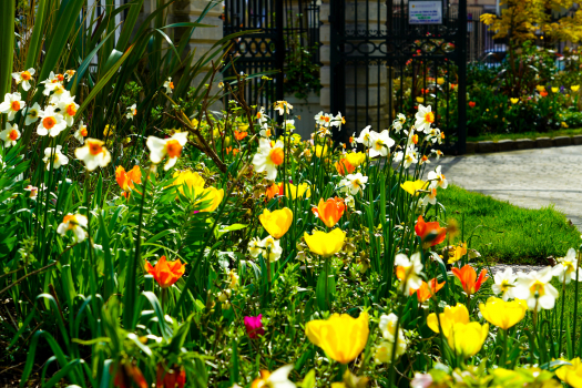 Montmorency en fleurs