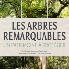 les arbres remarquables affiche 